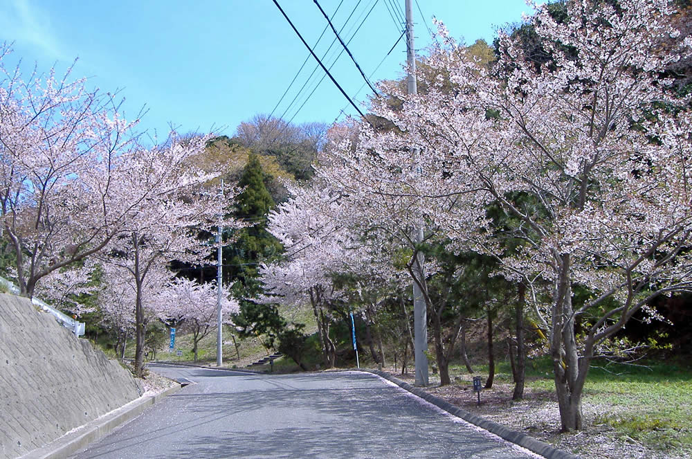 自然と調和する住環境