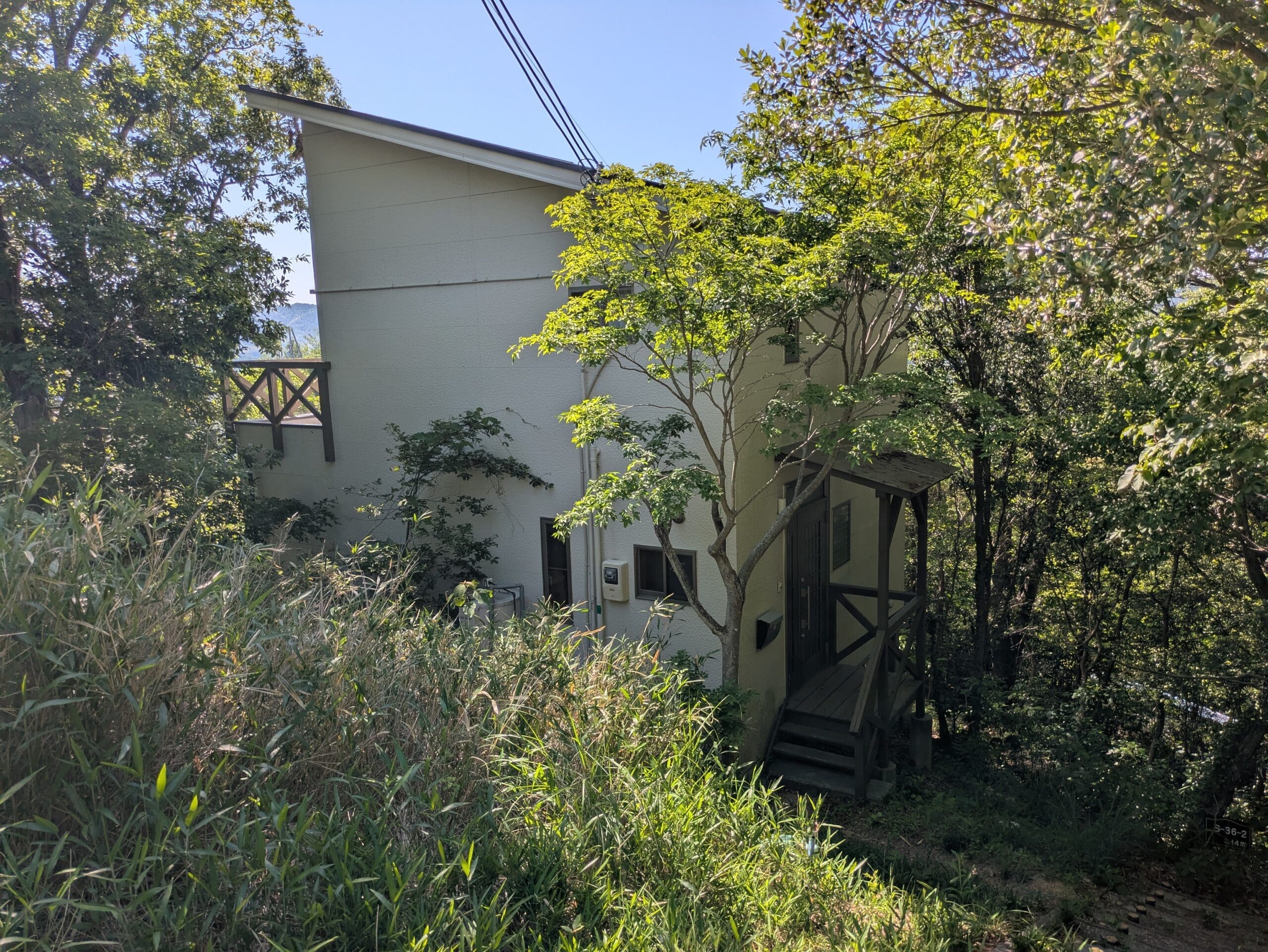 PXL_20260517_053639393